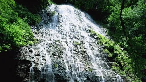 稳定性独特高标准